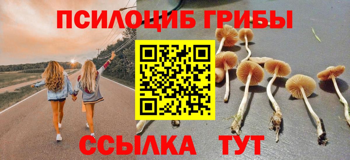 Галлюциногенные грибы мухоморы Красноярск